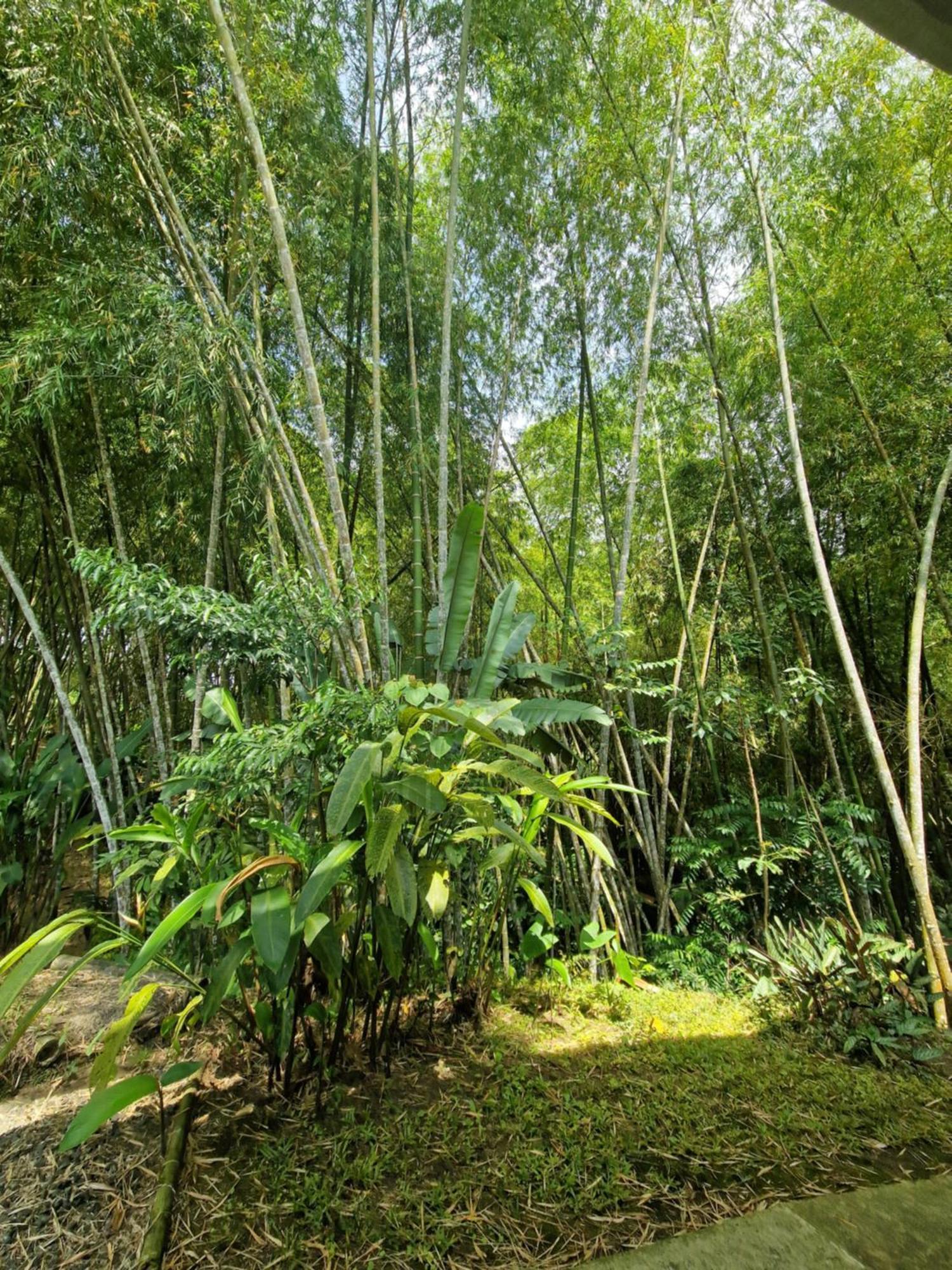 Bhutan Filandia Exterior foto