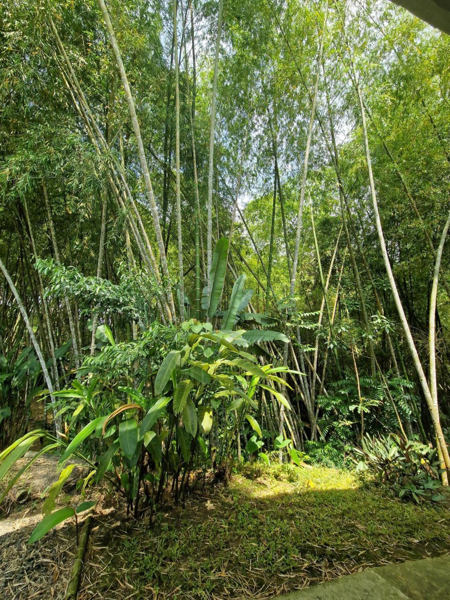 Bhutan Filandia Exterior foto
